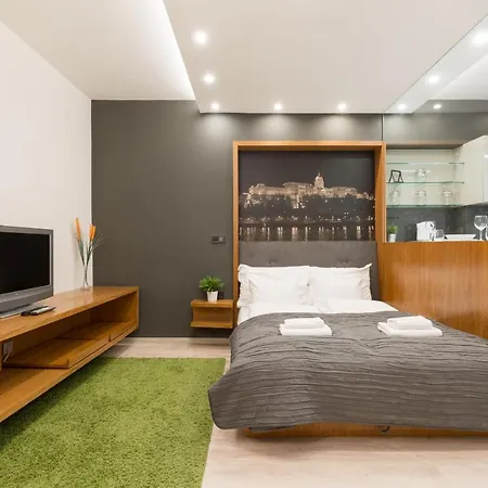 Retro Dream Near The Danube